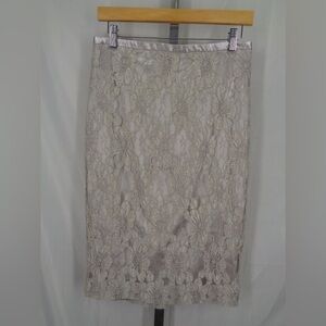 COPY - The Limited Pencil Skirt